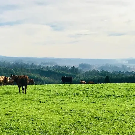 Entre Santiago Compostela Y La Coruna *